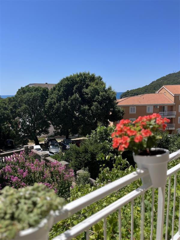 Apartmani Neda Bane Petrovac エクステリア 写真