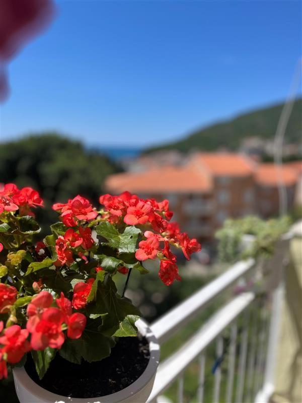 Apartmani Neda Bane Petrovac エクステリア 写真